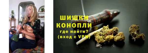 ПСИЛОЦИБИНОВЫЕ ГРИБЫ Куйбышев