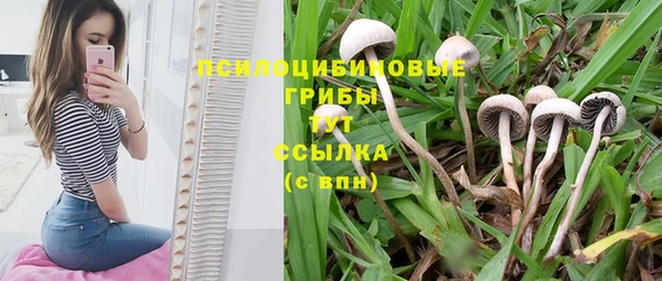 спиды Ладушкин